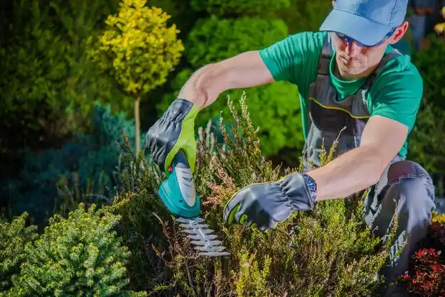 landscaping services Bassett